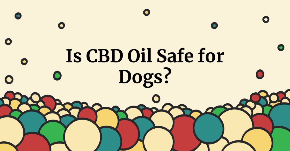 Is CBD Oil Safe for Dogs?