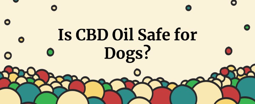 is cbd oil safe for dogs?