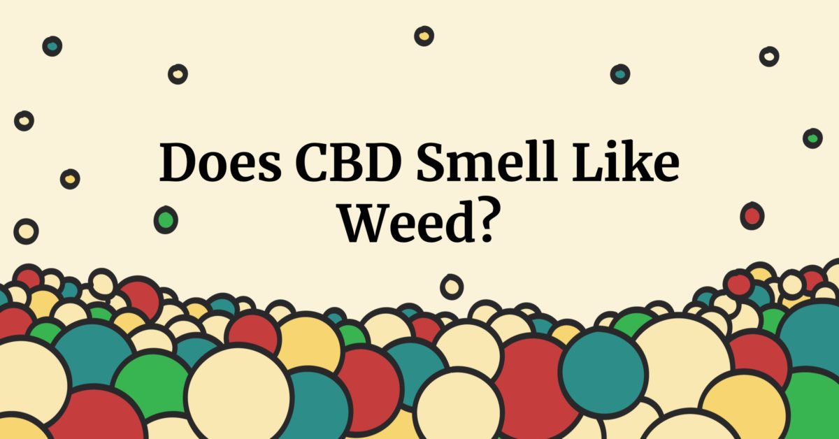 does cbd smell like weed?
