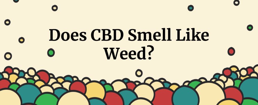 does cbd smell like weed?