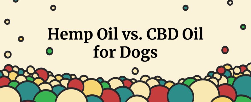 hemp oil vs cbd oil for dogs